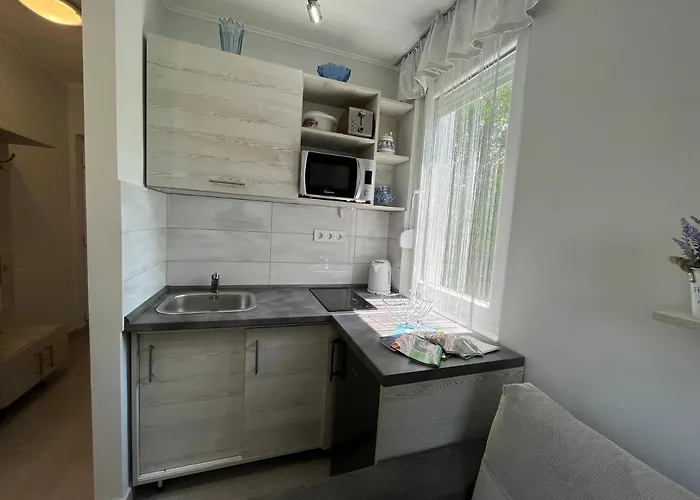 Апартаменты Mira *